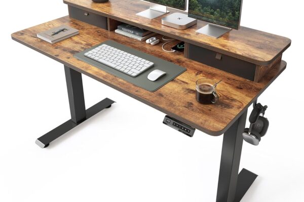 FEZIBO 48x24 electric standing desk